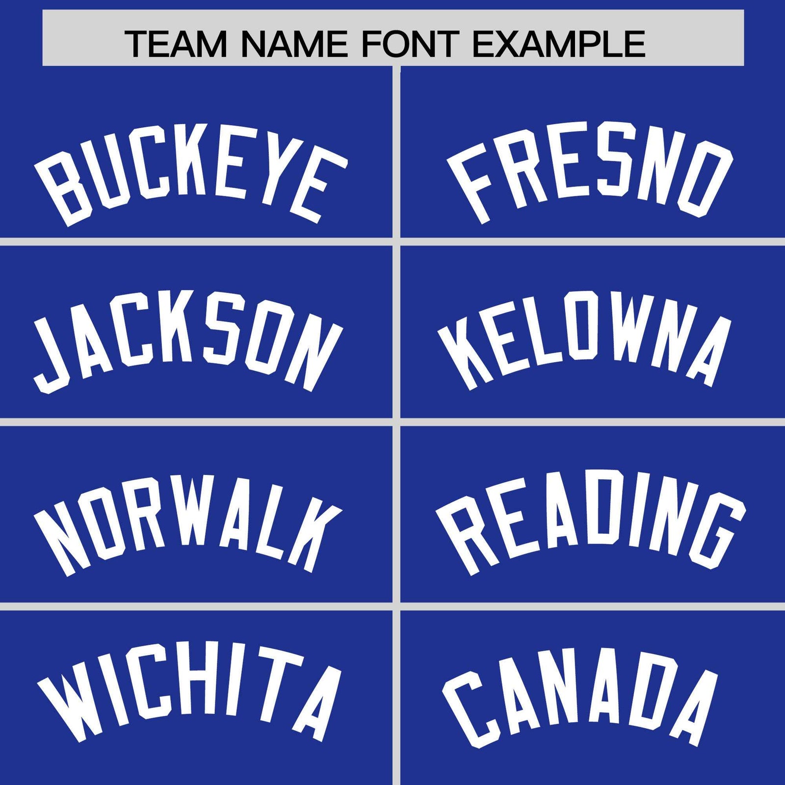 Custom Royal White Stripe Animals Graffiti Pattern Raglan Sleeves Authentic Baseball Jersey