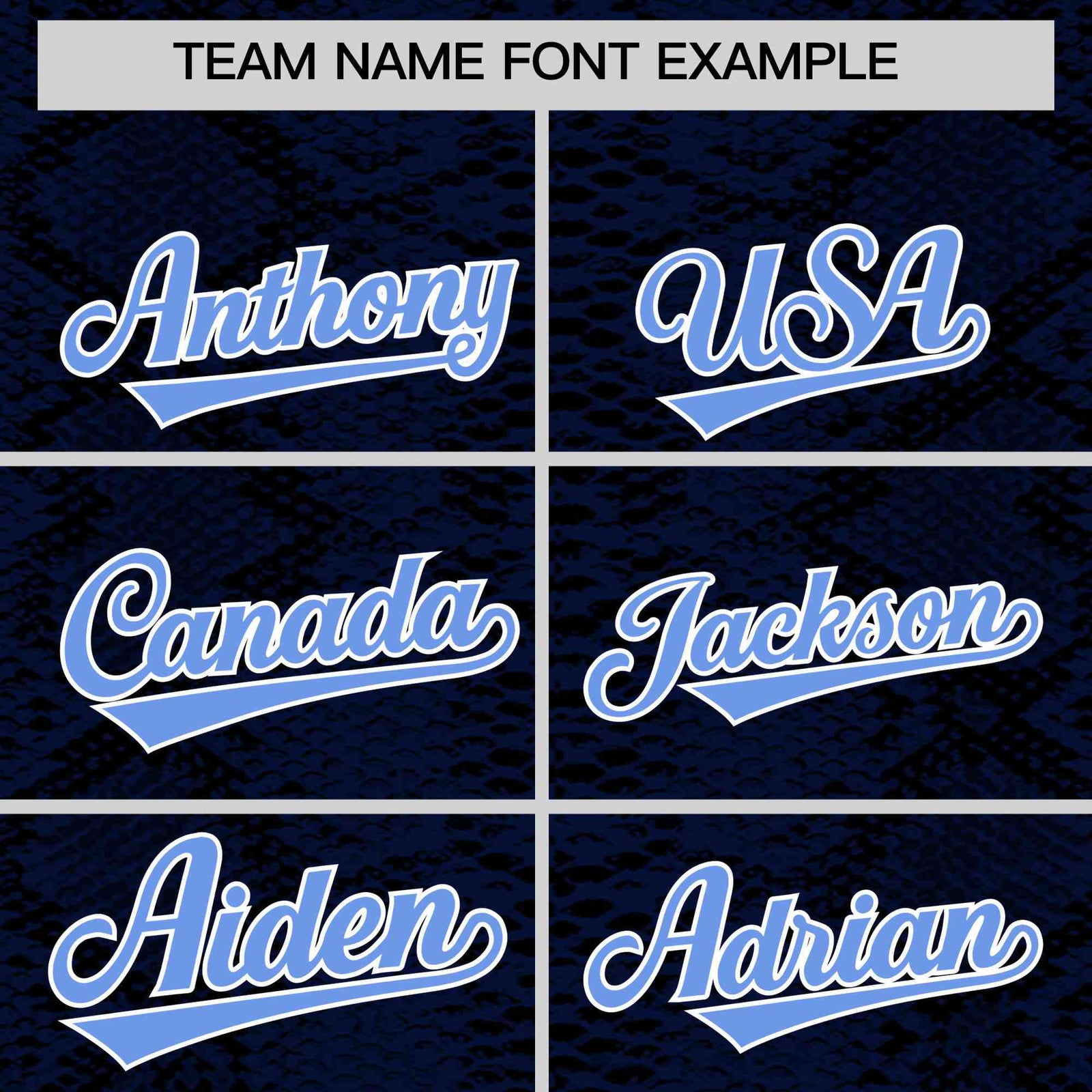 Custom Multi Color Snakeskin Pattern Authentic Baseball Jersey