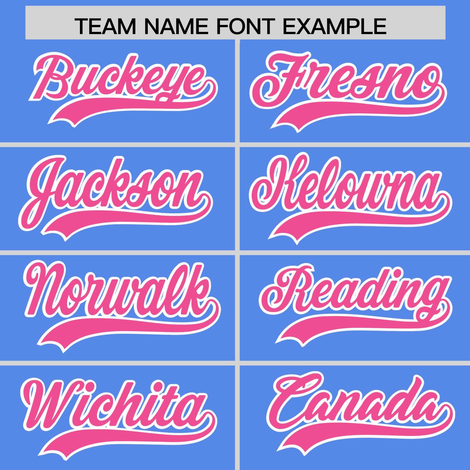 Custom Light Blue Pink Stripe Animals Graffiti Pattern Raglan Sleeves Authentic Baseball Jersey