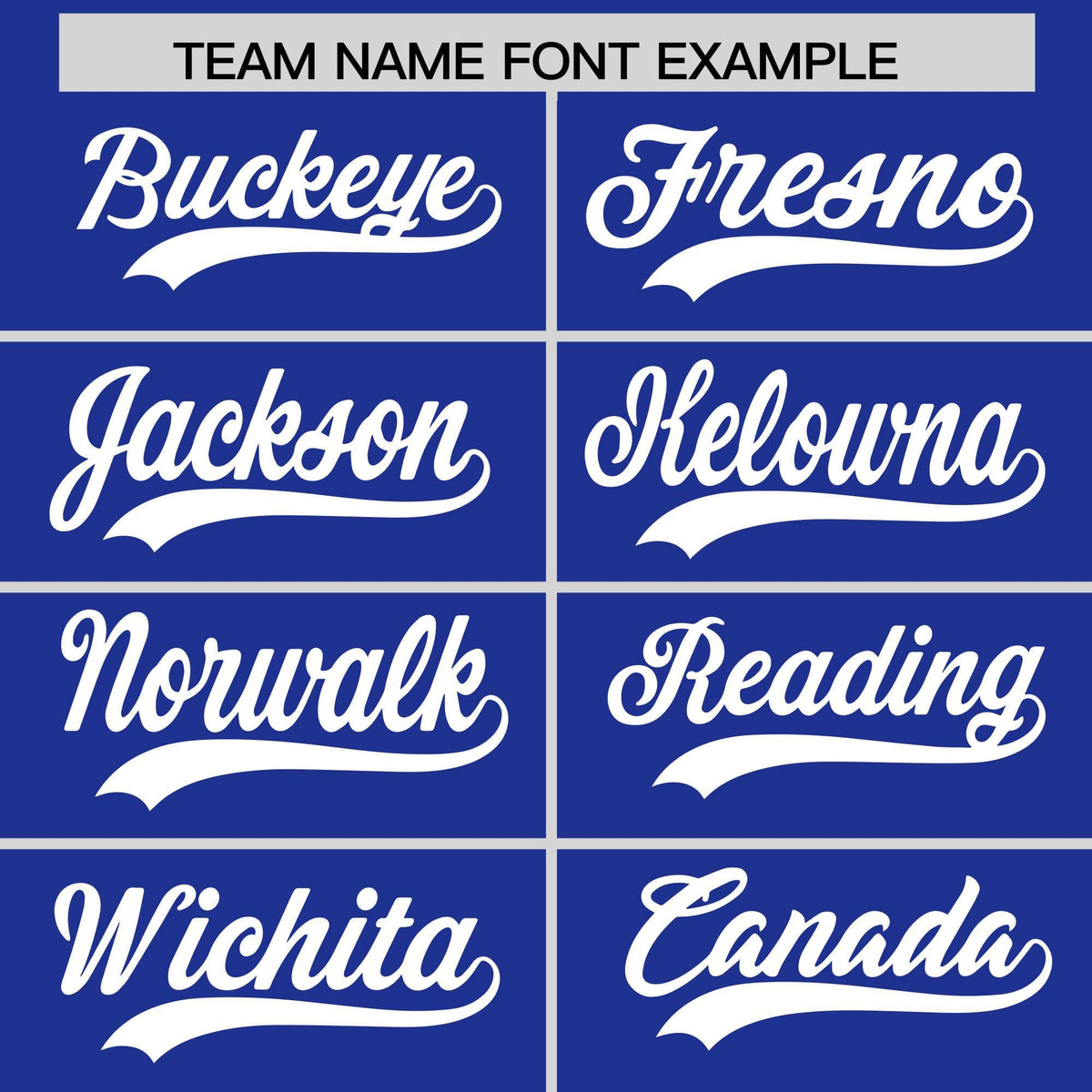 Custom Royal White Stripe Animals Graffiti Pattern Raglan Sleeves Authentic Baseball Jersey