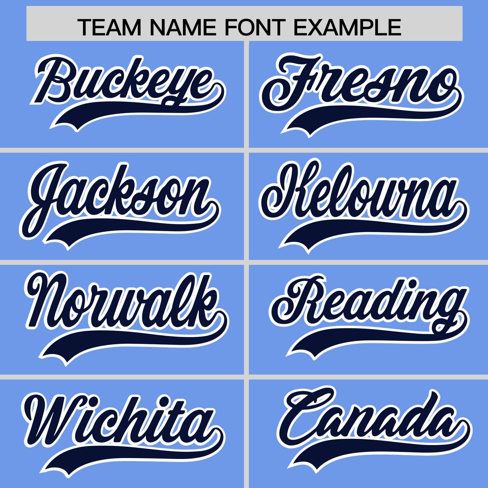Custom Light Blue Navy Stripe Animals Graffiti Pattern Raglan Sleeves Authentic Baseball Jersey