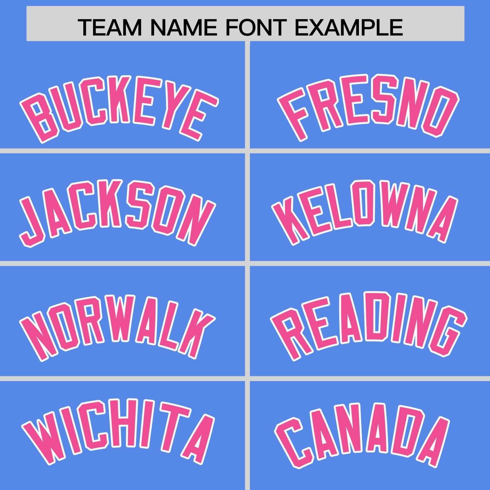 Custom Light Blue Pink Stripe Animals Graffiti Pattern Raglan Sleeves Authentic Baseball Jersey
