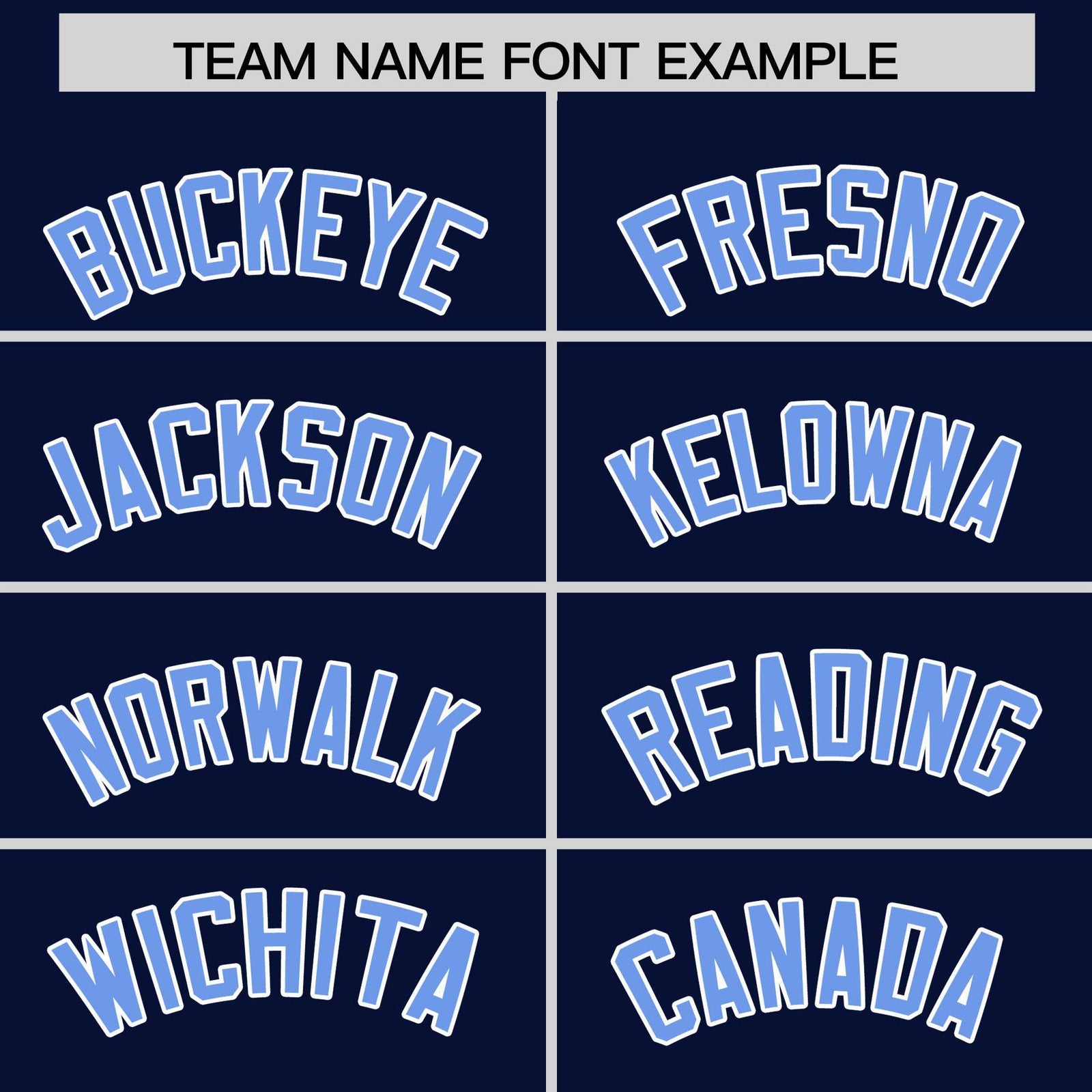 Custom Navy Light Blue Stripe Animals Graffiti Pattern Raglan Sleeves Authentic Baseball Jersey