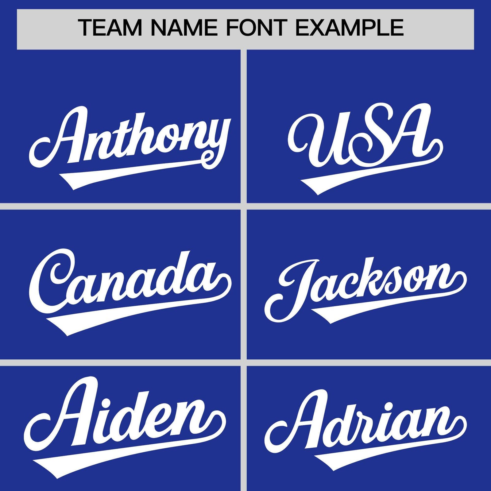 Custom Royal White Stripe Animals Graffiti Pattern Raglan Sleeves Authentic Baseball Jersey