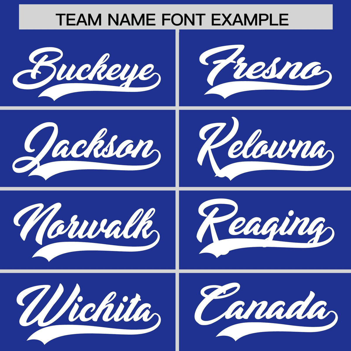 Custom Royal White Stripe Animals Graffiti Pattern Raglan Sleeves Authentic Baseball Jersey