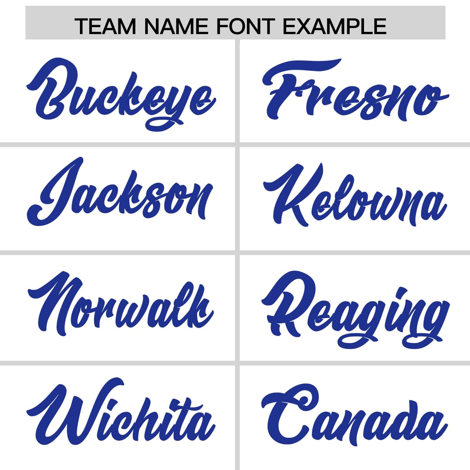 Custom White Royal Stripe Animals Graffiti Pattern Raglan Sleeves Authentic Baseball Jersey