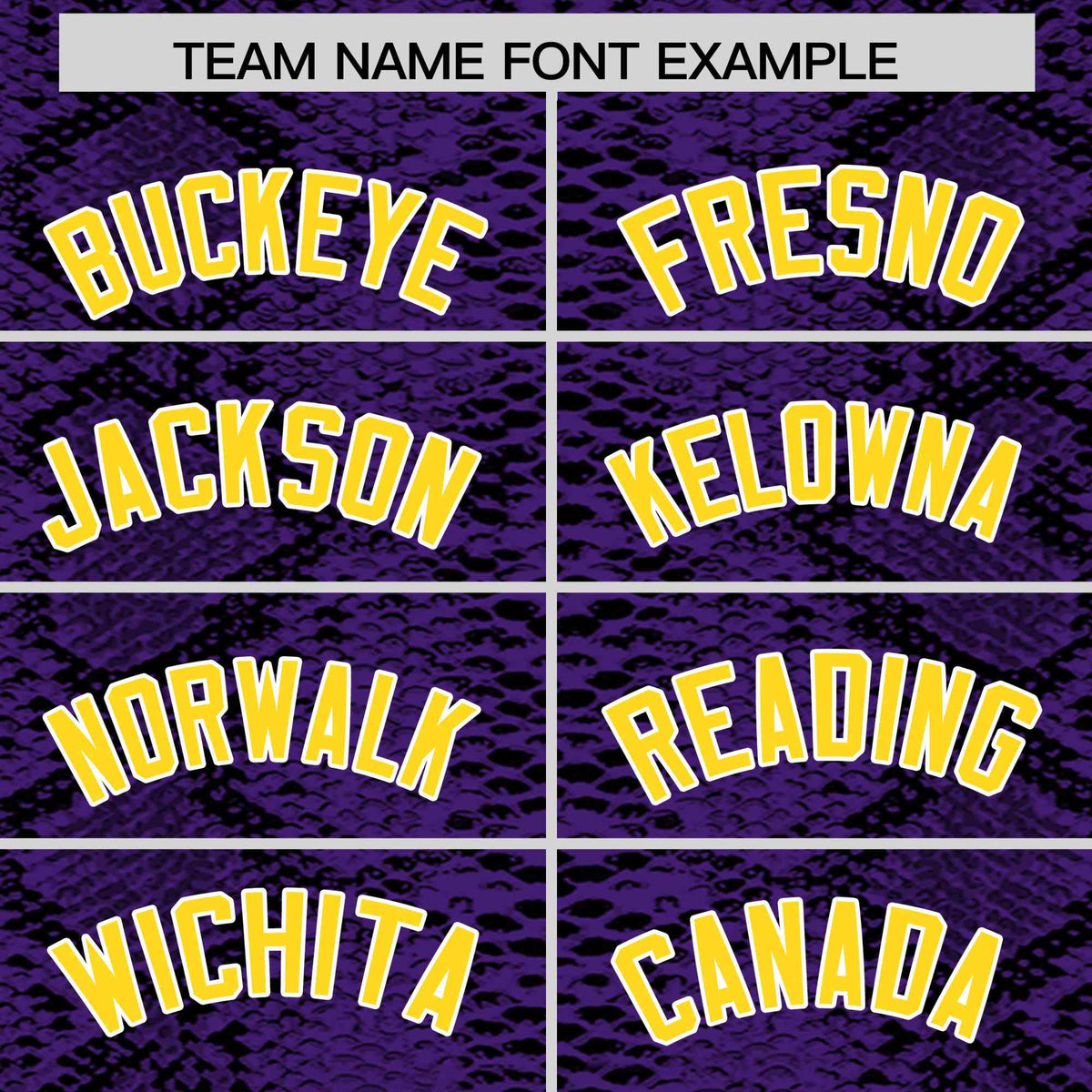 Custom Multi Color Snakeskin Pattern Authentic Baseball Jersey