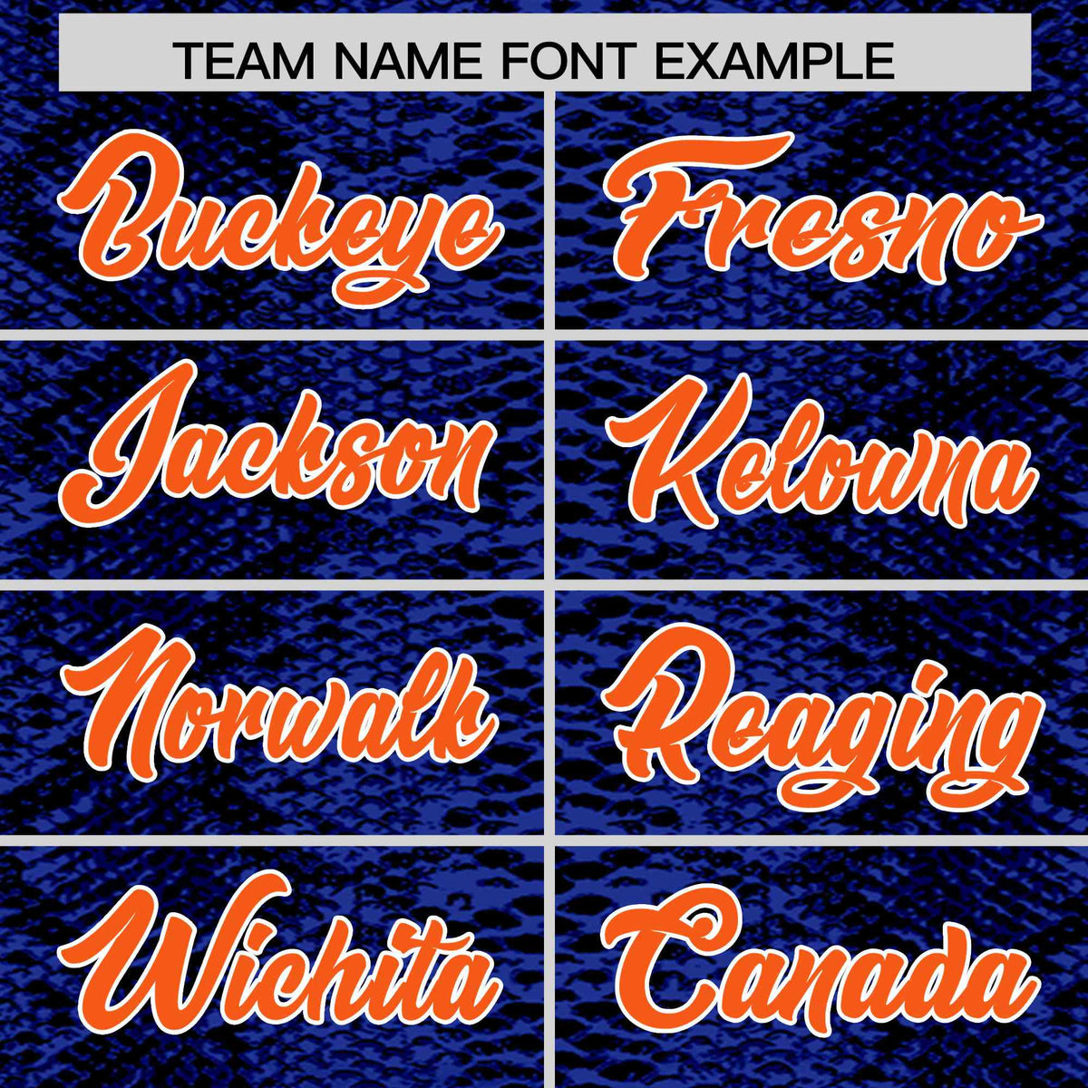 Custom Multi Color Snakeskin Pattern Authentic Baseball Jersey