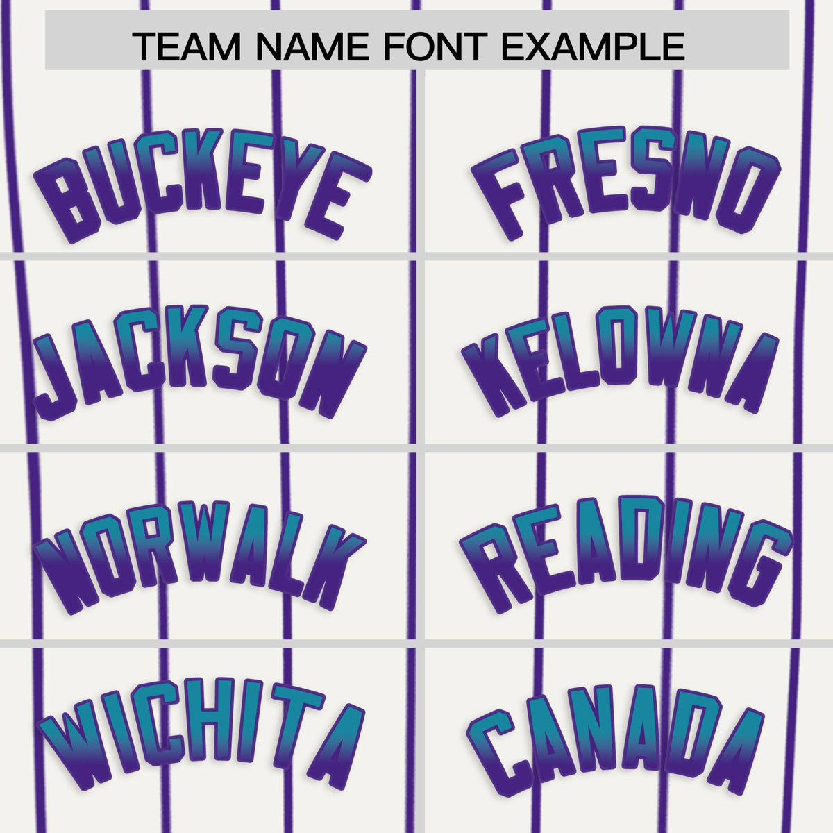 Custom White Charleston.SC City Silhouette Authentic Baseball Jersey
