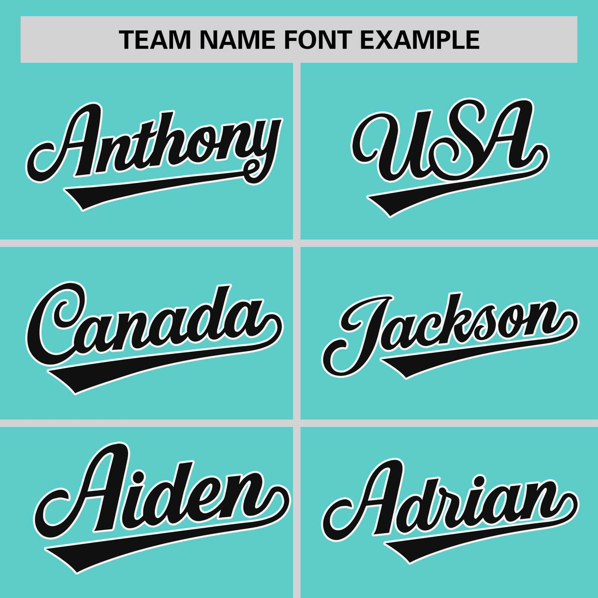 Custom Aqua White Stripe Fashion Raglan Sleeves Authentic Two-Button Softball Jersey