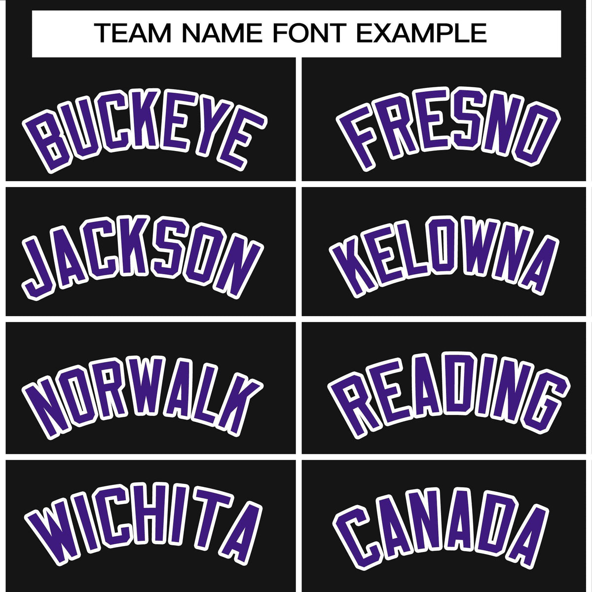 Custom Black Purple-White Raglan Sleeves Waterproof Jacket