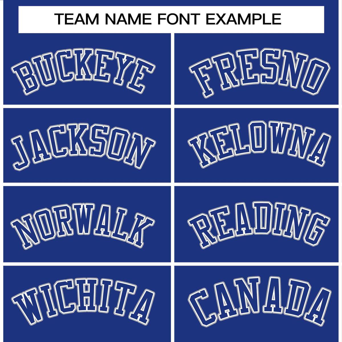 Custom Royal Royal-White Raglan Sleeves Varsity Full-Snap Letterman Jacket