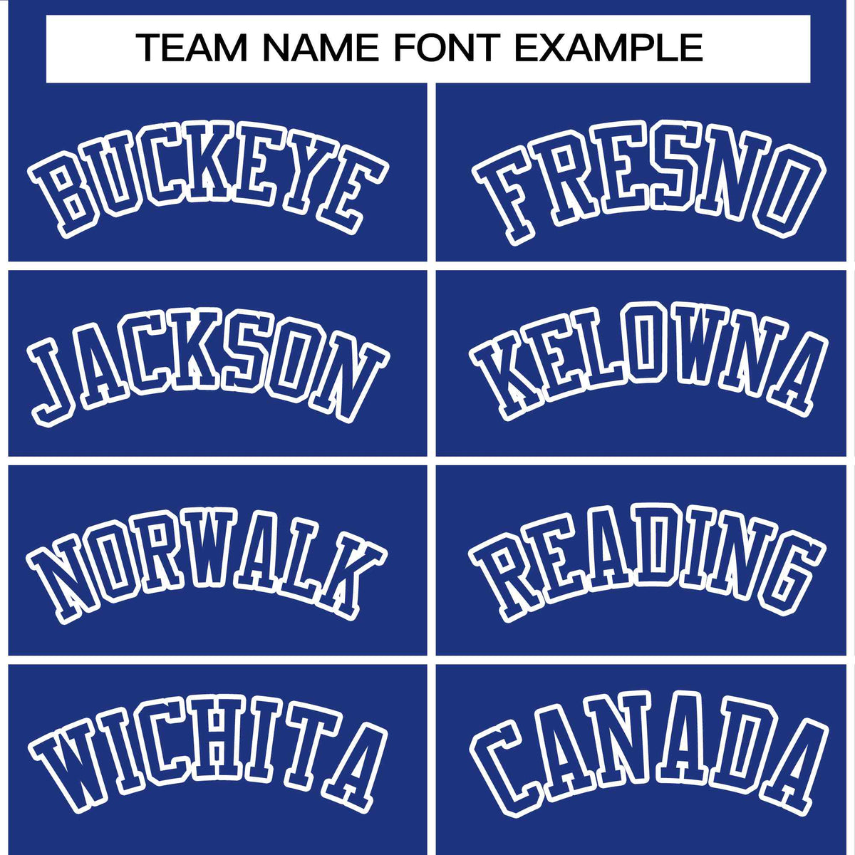 Custom Royal Royal-White Raglan Sleeves Varsity Full-Snap Letterman Jacket