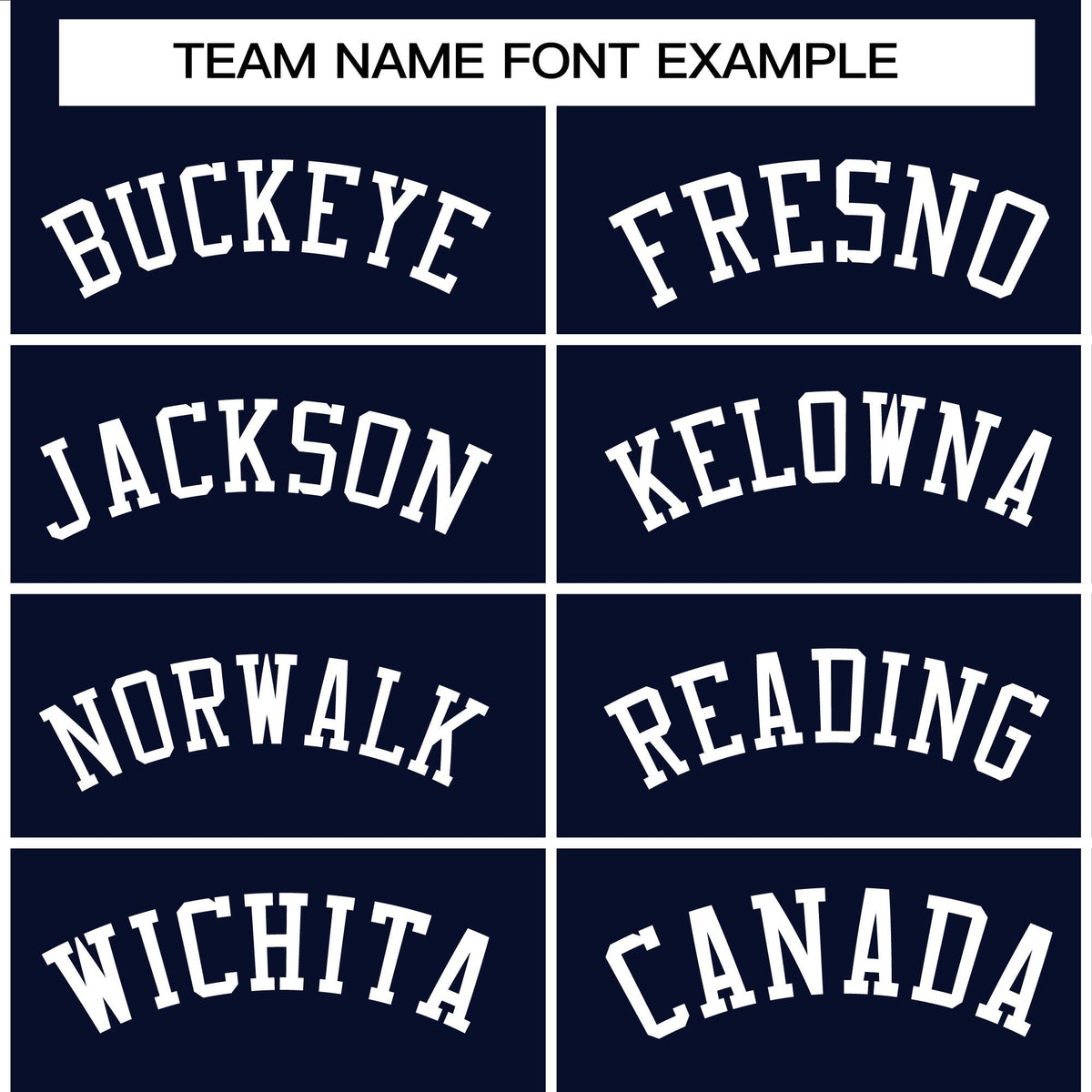 Custom Navy White  Raglan Sleeves Varsity Full-Snap Letterman Jacket